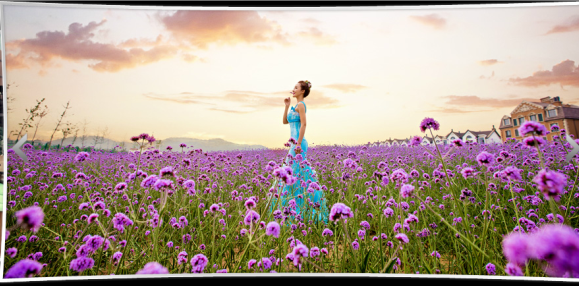 SKY攝影官網(wǎng)